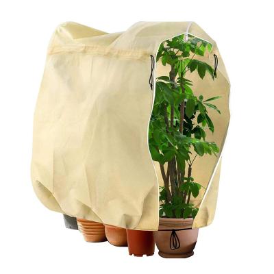 China Green Plant Anti Snow Garden Fleece Antifreeze Waterproof Rain Water Proof Nonwoven Wind Clothes for sale