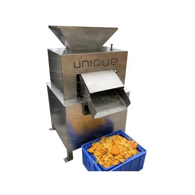 China Extractor elétrico automático de frutas de aço inoxidável 304 para suco de tomate de abacaxi à venda