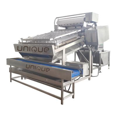 Chine 300 kg/h Capacité Machine de peeling de crevettes avec système de nettoyage de pointe à vendre