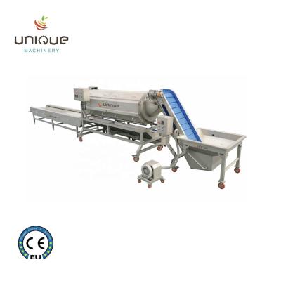 China Perfect Peeling Effect Vegetable Peeling Machine for Potato Chips Production Line for sale