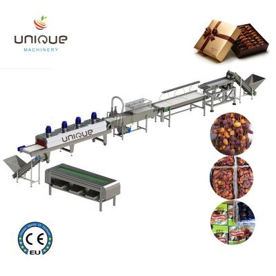 China Palm Dates Processing Line Industrial Automatic Date Fruits Drying Machine from Farms for sale