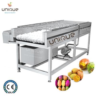 China 2021 Prickly Pear Fruit Washing Polishing Cleaning Machine with Stainless Steel 304 for sale