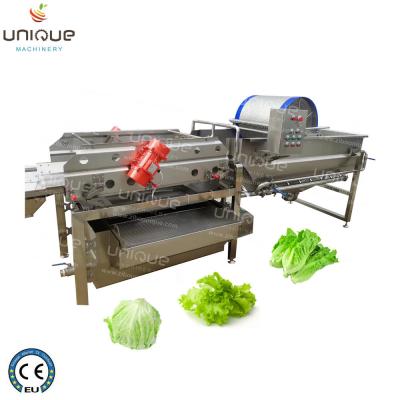 China Stainless Steel 304 Herb Washing Cutting Grinding Machine for Herbs for sale