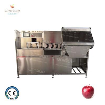 Chine Fonction de pellicule de fruits éplucheur de pommes électrique commercial Corer Slicer 2500 * 1000 * 1500 mm à vendre