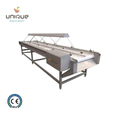 China LED Vegetable Sorting Conveyor for Palm Date Selection in Food Shop and Reliability for sale