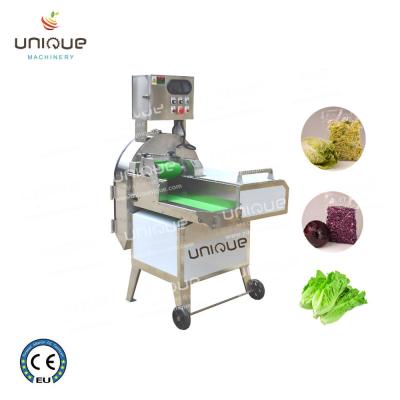 China Máquina de corte de lechuga de acero inoxidable con tecnología de corte avanzada en venta