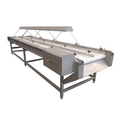 China 220v/ 380v de aço inoxidável 304 Nut Seleção de conveyor para máquina de triagem de passas à venda