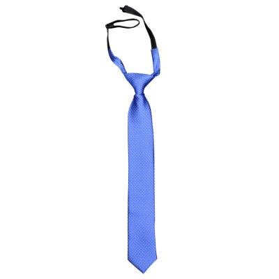 China Cheap OEM/ODM Nice Necktie For Kid Logo Tie Stylish Neckties Handsome For Kid for sale