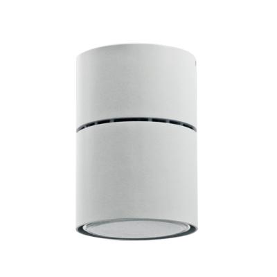 China Modern Outdoor Smart Dimmable Mount 40W LED Downlights Recessed Showroom Light for sale