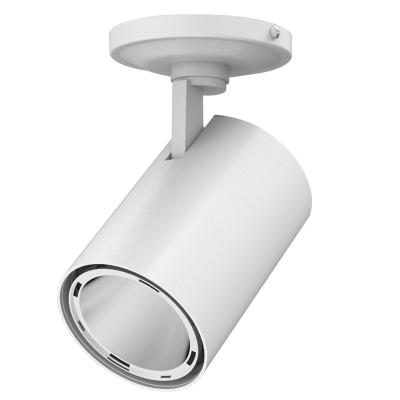 China Modern 30W COB Led DIMMABLE Commercial Smart Mount LED Outdoor Track Spotlight for sale