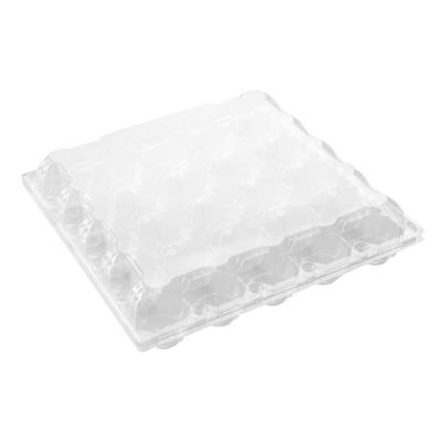 China Four-color transparent egg-proof plastic crisper household tray egg tray egg refrigerator portable refrigerator egg crate for sale