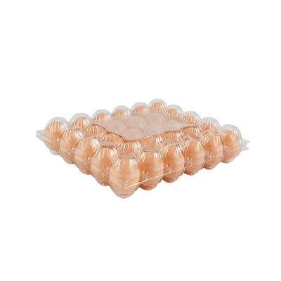 China Custom Recycled Materials Plastic Kitchen Refrigerator Egg Tray Storage Box Container Injection Molding Eggs/Eggs Storage Box for sale