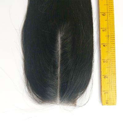 China Brazilian Middle Swiss Straight Human Hair Closure 6-18 Inch Silky Straight Human Hair Lace Closure 6-18 Inch Natural Wave 2*6 Color for sale