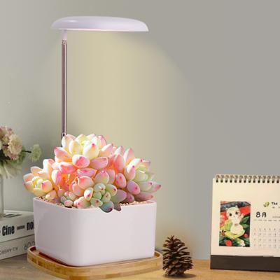 China Led planter smart plant grow light Hydroponic growing pots for plants herb grow pots lighting height adjustable automatic timer for sale