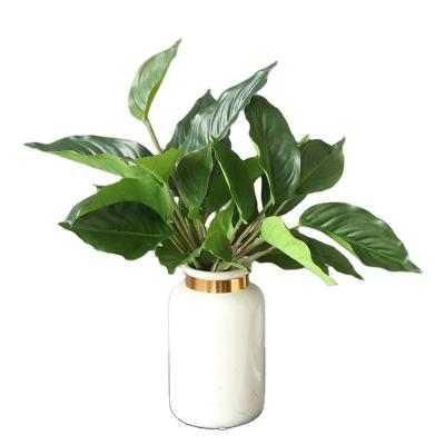 China Indoor ornamental artificial green plants Immortal plant aglaonema zu verkaufen