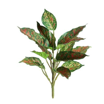 China New arrival Indoor ornamental artificial green plants Immortal plant aglaonema for sale