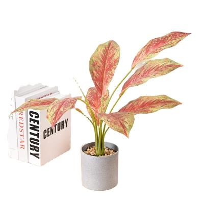 China hot sale New arrival Indoor ornamental artificial green plants Immortal plant aglaonema for sale