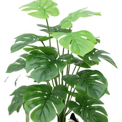 China hot sale New arrival Indoor ornamental artificial green plants Immortal plant ornamental plant monstera for sale