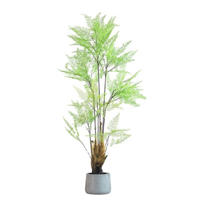 China hot sale New arrival Indoor ornamental artificial green plants Immortal plant ornamental plant fern for sale