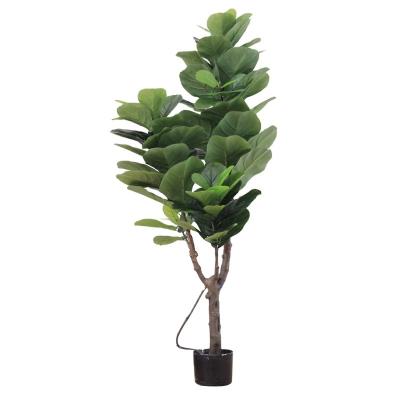 China hot sale New arrival Indoor ornamental artificial green plants Immortal plant ornamental plant ficus ruby for sale