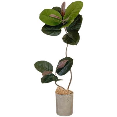 China hot sale New arrival Indoor ornamental artificial green plants Immortal plant ornamental plant ficus ruby for sale