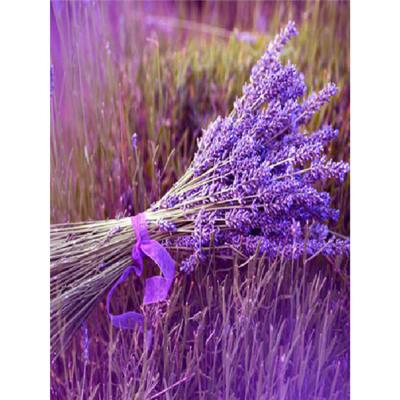 China Lavender Fashion Canvas DIY Diamond Painting DIY 5D Diamond Painting Flower Full Drill Environmental Friendly Embroidery Kit Living Room Decor for sale