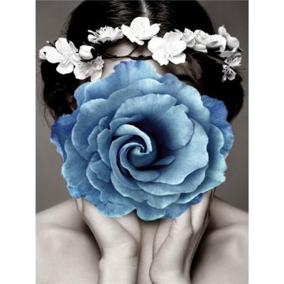 China DIY 5D Diamond Painting Beautiful Girl Blue Diamond Painting DIY Fashion Canvas Embroidery Modern Full Flower Environmental Friendly Drill for sale