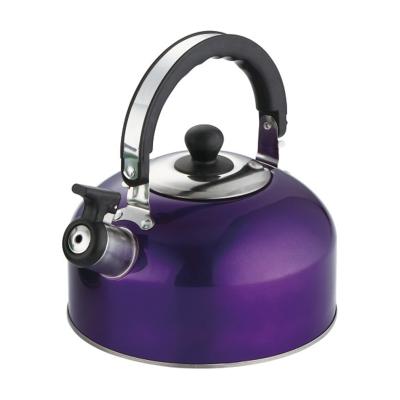 China Sustainable Economical 2.0L Tea Kettle Stainless Steel Whistling Kettle With Color Painting For Promotional Gift for sale