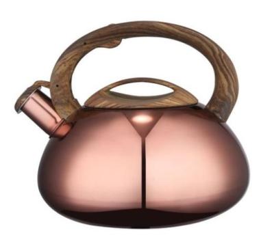 China wholesaleTea Pot Viable Whistling Kettle OEM Stainless Steel for sale