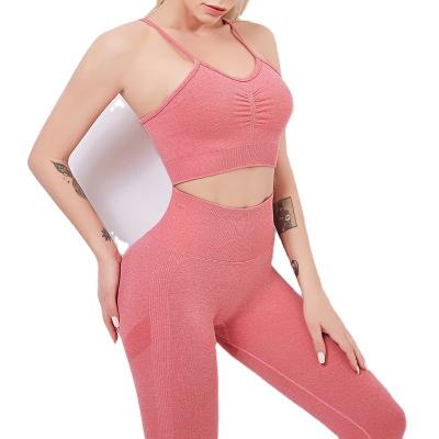 China High Quality Antibacterial Women Gaiters Sportswear Set Seamless Multi Color Fitness Bra Sportswear Yoga Set for sale