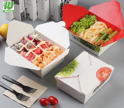 China Biodegradable Professional Custom Manufacturer Box Disposable Eco Friendly Stored Transparent Packaging Food for sale