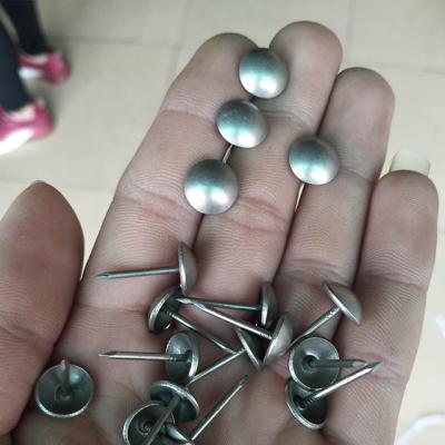 China Diameter 11x17mm Matte Iron Bubble Decorative Nails Chrome Nail And Pearl Nickel Decoration Sofa Nail for sale