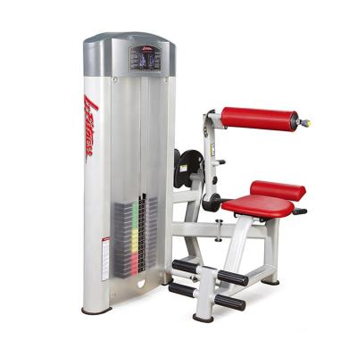 China Universal 70KG Weight Stack Strength Training Body Fit Commercial Gym Equipment Back Extension Machine for sale