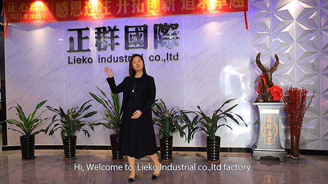 Verified China supplier - Dongguan Lieko Industrial Tech Co., Ltd.