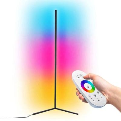 China Remote Control Modern Corner Bedroom Floor Lamp Smart RGB LED Decoration RGB LED Indoor Floor Lamp for sale