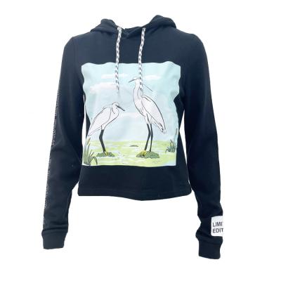 China Custom High Quality Fashion Women Soft Casual Hoodie Anti Shrink For Spring Wear for sale