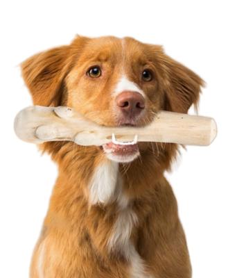 China Viable All Natural Safe Healthy Fun Coffee Wooden Dog Chew Toys for sale