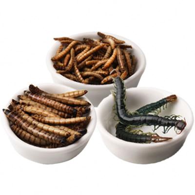 China BESSN Good Quality Good Price 160g Insect Barley High Protein Fish Food Viable for sale