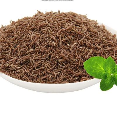 China Viable Manufacturer New Product China BESSN Red Worm High Protein Frozen Fish Food for sale