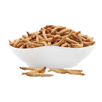 China BESSN 2020 Wholesale High Quality High Protein Freeze Dried Baked Mealworms Viable for sale