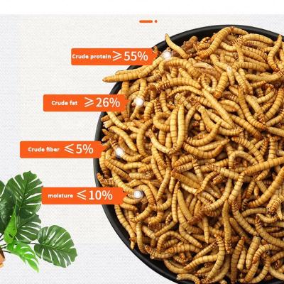 China BESSN Sustainable High Quality Low Price Natural Eco-Friendly Mealworms Freeze Dried Mealworms for sale