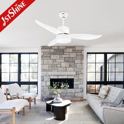 China Bedroom Warm Light Natural Wind Acrylic Abs Blade Blades Ceiling Fan for sale