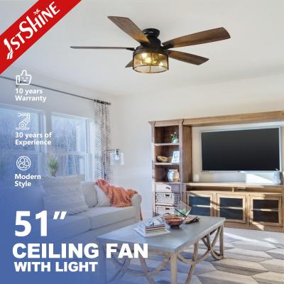 China 2- 110-240V/50Hz-60Hz Lighting Ceiling Fan with Remote Control and Fancy Iron Design for sale