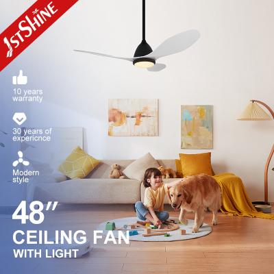 China Support Dimmer 1stshine Plastic Ceiling Fan with Remote Control and Modern Design for sale