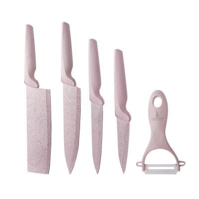 China Sustainable Wholesale Stainless Steel Fruit Knife Kitchen Instruments 5 Pieces Sets For Kitchen Tools for sale