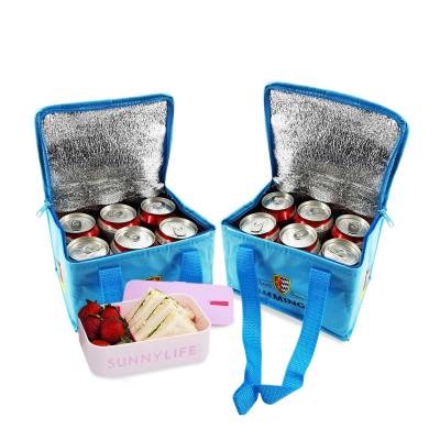 China Hot Selling Waterproof 6 Pack Wine Cooler Bags With Full Color Printing Laminated Non Woven Insulated Cooler Bag With Zipper For 6 Boxes for sale