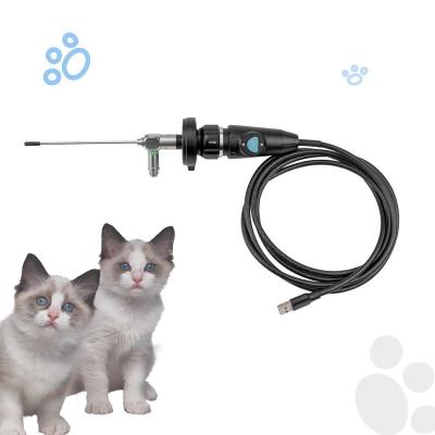 China 1945(H) x 1109(V) Direct Sale Mini Portability Veterinary Endoscopic Surgical Instrument Medical Endoscope Camera for sale