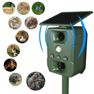 China Quality Most Efficient Outdoor Sonic Vibration Snake Mouse Viable Solar Mole Control Rat Voles Reflector with LED Light and Battery Box for sale