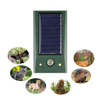 China Viable Flash LED Light Drive Away Alert High Power Ultrasonic Pest Reflector Bird Repellent Ultrasonic Animal Reflector for sale