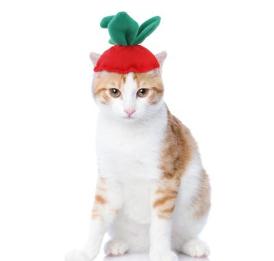 China 2021 Viable Funny New Pet Headwear Cat Strawberry Halloween Hat Dog Hair Accessories for sale